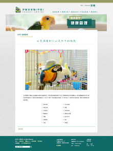 打造貼心體驗 寵物用品網(wǎng)站的設(shè)計要點與趨勢